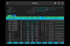 NixOS Htop screen